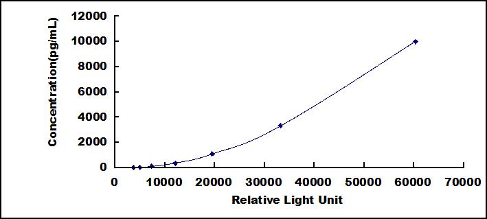 SCC605Mu.jpg