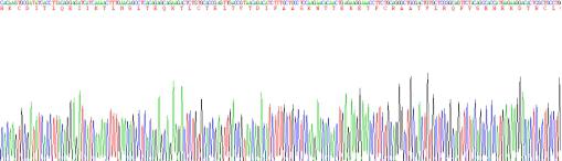 白介素4(IL4)活性蛋白