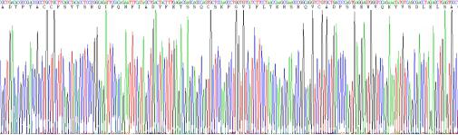 巨噬细胞炎性蛋白1α(MIP1a)活性蛋白