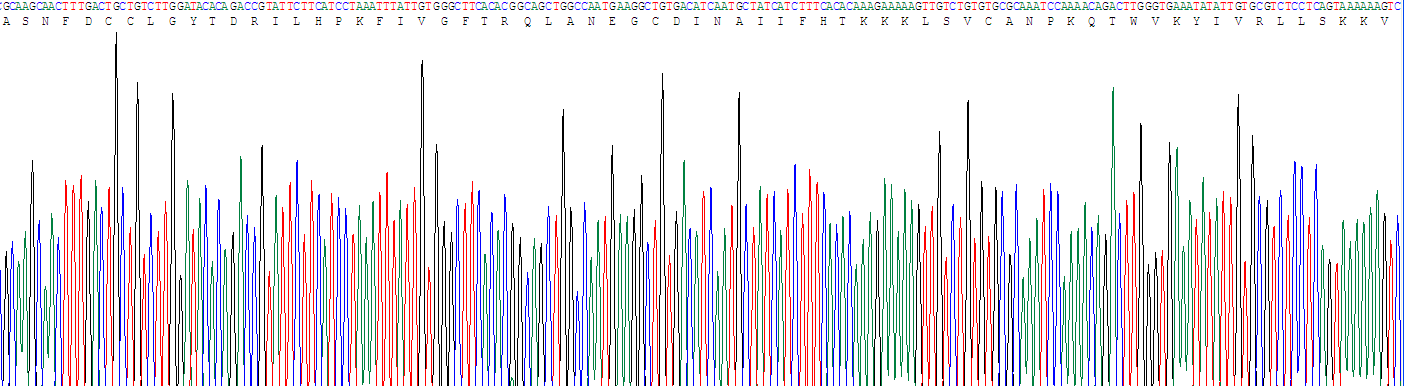 巨噬细胞炎性蛋白3α(MIP3a)活性蛋白