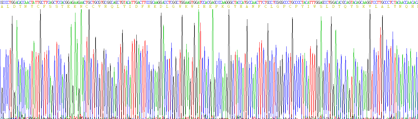 转化生长因子β1(TGFb1)活性蛋白