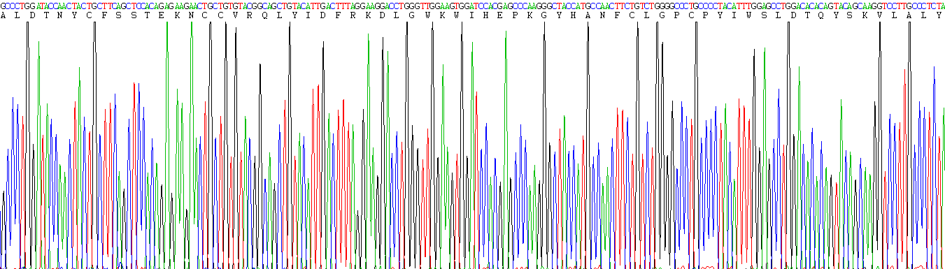 转化生长因子β1(TGFb1)活性蛋白