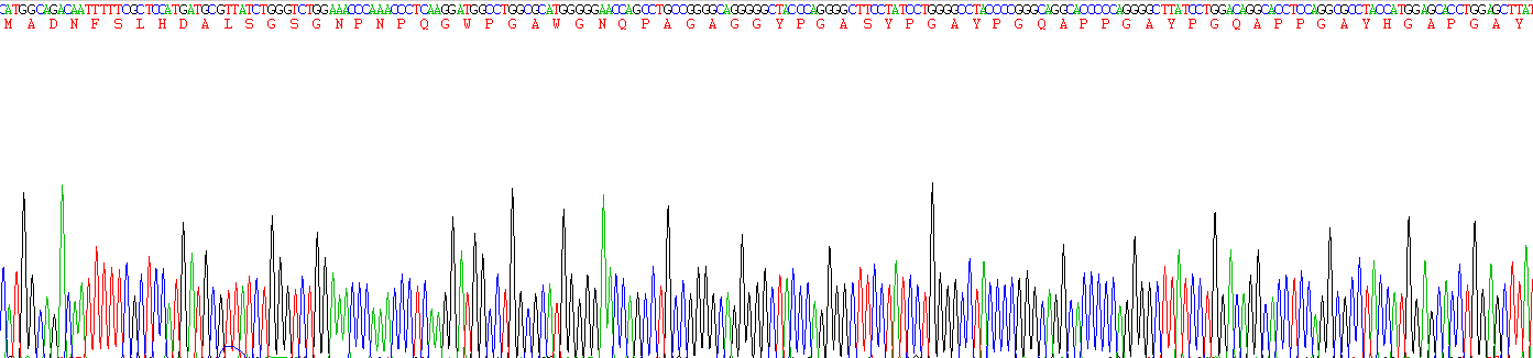 半乳糖凝集素3(GAL3)活性蛋白