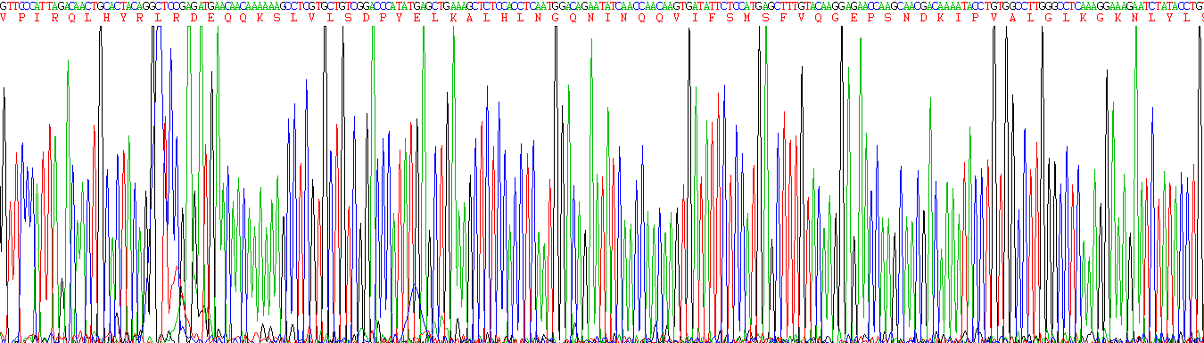 白介素1β(IL1b)活性蛋白