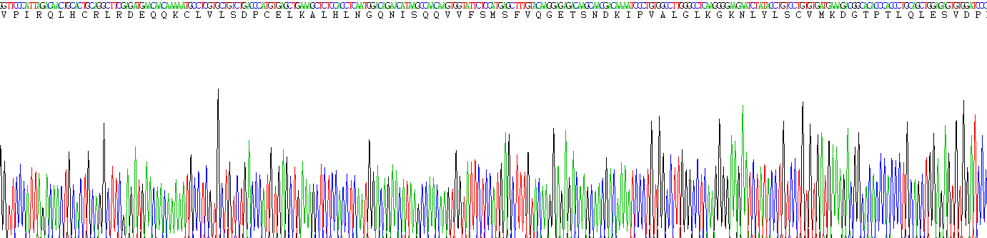 白介素1β(IL1b)活性蛋白