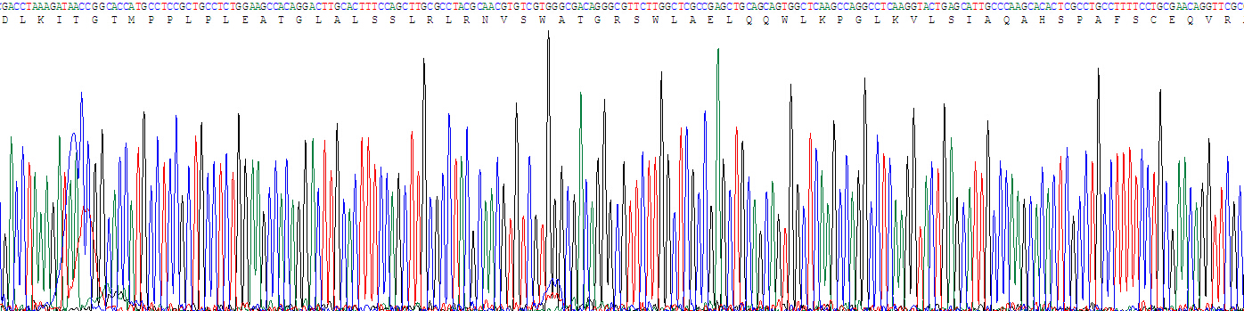CD14分子(CD14)活性蛋白