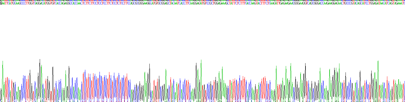成纤维细胞生长因子10(FGF10)活性蛋白