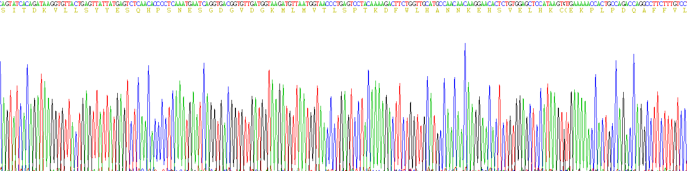 白介素33(IL33)活性蛋白