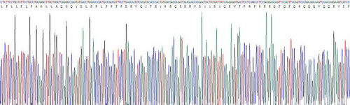 微纖絲關(guān)聯(lián)蛋白2(MFAP2)活性蛋白