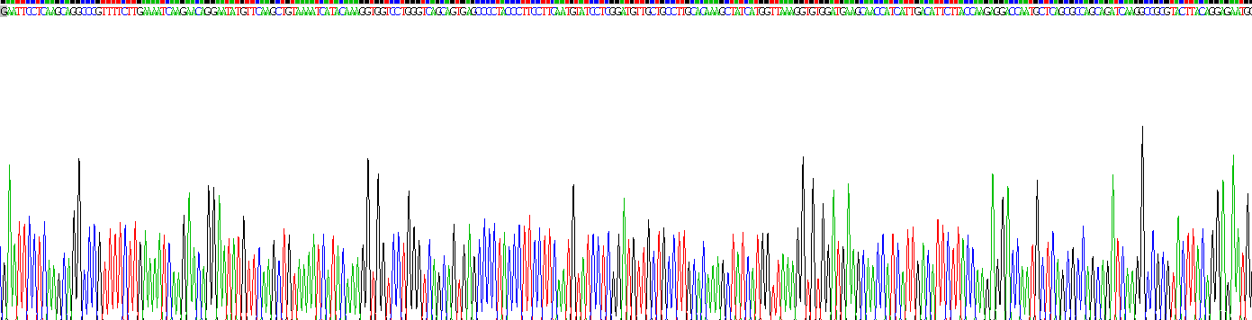 膜聯(lián)蛋白A1(ANXA1)活性蛋白