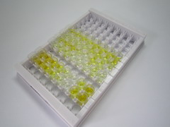 生长激素(GH)检测试剂盒(酶联免疫吸附试验法)
