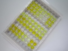 前动力蛋白2(PK2)检测试剂盒(酶联免疫吸附试验法)
