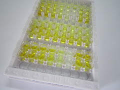 前动力蛋白2(PK2)检测试剂盒(酶联免疫吸附试验法)