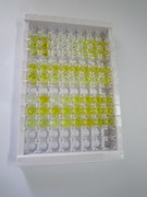 糖化血红蛋白A1c(HbA1c)检测试剂盒(酶联免疫吸附试验法)