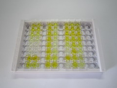 糖化血紅蛋白A1c(HbA1c)檢測試劑盒(酶聯(lián)免疫吸附試驗(yàn)法)