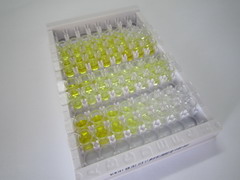α-黑素细胞刺激素(aMSH)检测试剂盒(酶联免疫吸附试验法)
