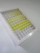 谷胱甘肽(GSH)检测试剂盒(酶联免疫吸附试验法)