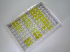 P物质(SP)检测试剂盒(酶联免疫吸附试验法)
