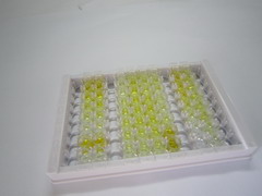 促甲状腺素(TSH)检测试剂盒(酶联免疫吸附试验法)