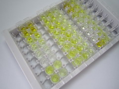 促甲状腺素(TSH)检测试剂盒(酶联免疫吸附试验法)
