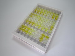 降钙素(CT)检测试剂盒(酶联免疫吸附试验法)