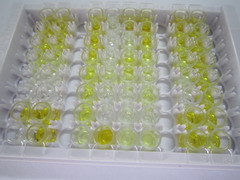 载脂蛋白A1(APOA1)检测试剂盒(酶联免疫吸附试验法)