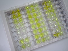 氧化低密度脂蛋白(OxLDL)检测试剂盒(酶联免疫吸附试验法)