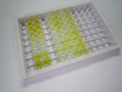 氧化低密度脂蛋白(OxLDL)检测试剂盒(酶联免疫吸附试验法)