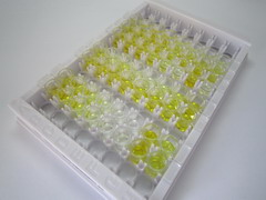 碱性成纤维细胞生长因子(FGF2)检测试剂盒(酶联免疫吸附试验法)