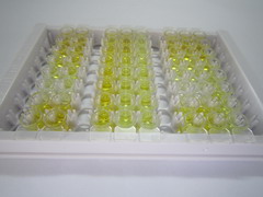 白三烯B4(LTB4)检测试剂盒(酶联免疫吸附试验法)