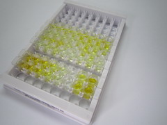 Ⅲ型前胶原氨基端原肽(PIIINP)检测试剂盒(酶联免疫吸附试验法)