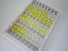 生长抑素(SST)检测试剂盒(酶联免疫吸附试验法)