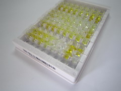 生长抑素(SST)检测试剂盒(酶联免疫吸附试验法)