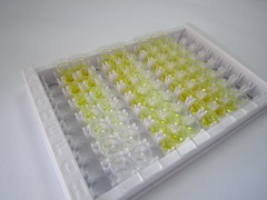 食欲素A(OXA)检测试剂盒(酶联免疫吸附试验法)