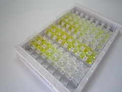 胰蛋白酶原激活肽(TAP)检测试剂盒(酶联免疫吸附试验法)