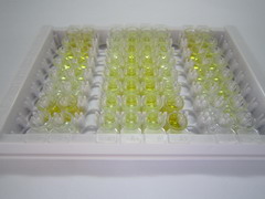 Ⅰ型胶原交联氨基端肽(NTXI)检测试剂盒(酶联免疫吸附试验法)