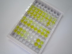 Ⅰ型胶原交联羧基端肽(CTXI)检测试剂盒(酶联免疫吸附试验法)