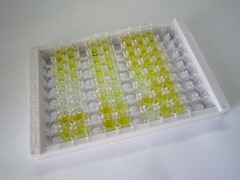 Ⅰ型胶原交联羧基端肽(CTXI)检测试剂盒(酶联免疫吸附试验法)