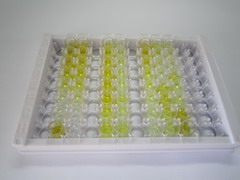 Ⅱ型胶原交联羧基端肽(CTXII)检测试剂盒(酶联免疫吸附试验法)