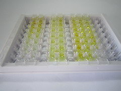 Ⅱ型胶原交联羧基端肽(CTXII)检测试剂盒(酶联免疫吸附试验法)