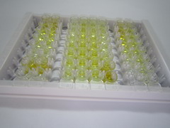 Ⅱ型胶原交联羧基端肽(CTXII)检测试剂盒(酶联免疫吸附试验法)
