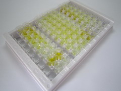 激肽釋放酶10(KLK10)檢測(cè)試劑盒(酶聯(lián)免疫吸附試驗(yàn)法)