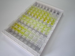 前胰岛素样生长因子ⅡE肽(IGFIIE)检测试剂盒(酶联免疫吸附试验法)