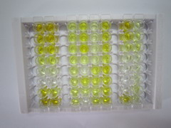 α-内啡肽(aEP)检测试剂盒(酶联免疫吸附试验法)