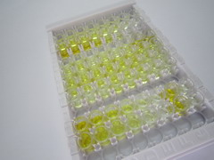 胆囊收缩素(CCK)检测试剂盒(酶联免疫吸附试验法)