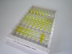 神经介素B(NMB)检测试剂盒(酶联免疫吸附试验法)