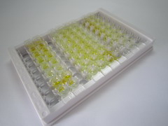 5-羟色胺(5-HT)检测试剂盒(酶联免疫吸附试验法)