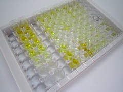 胰淀素检测试剂盒(酶联免疫吸附试验法)