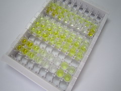 甲状旁腺激素相关蛋白(PTHrP)检测试剂盒(酶联免疫吸附试验法)