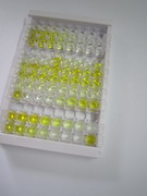 促卵泡素(FSH)检测试剂盒(酶联免疫吸附试验法)